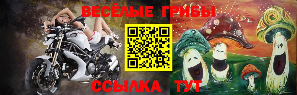 Галлюциногенные грибы мицелий  Вход с VPN  Камышин 