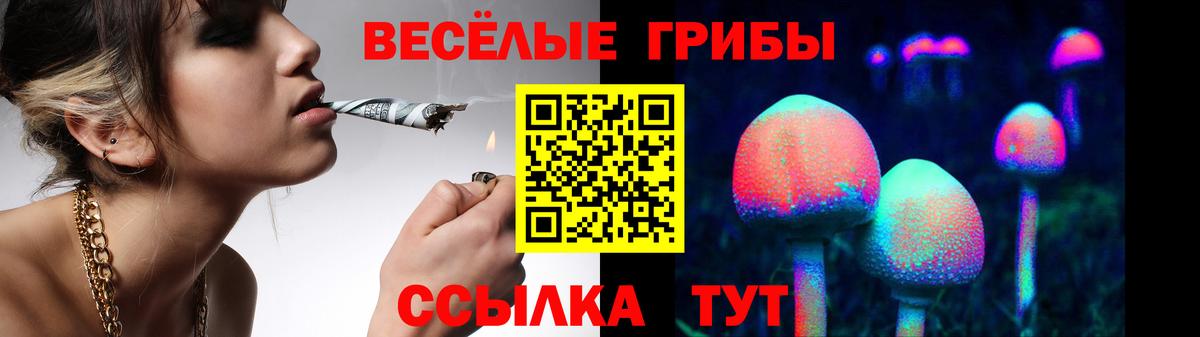 Галлюциногенные грибы GOLDEN TEACHER Камышин