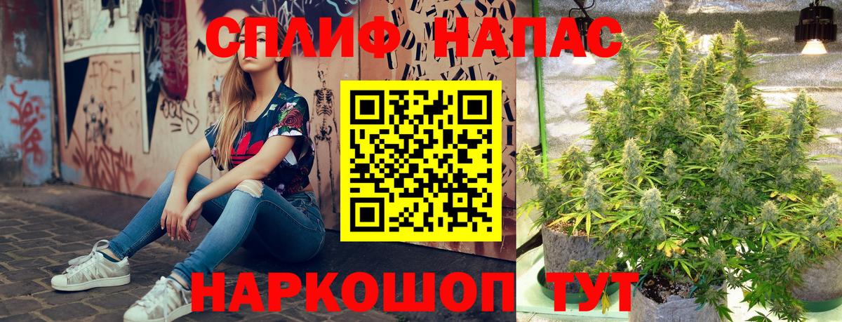 Канабис план  Канабис конопля  Вход с VPN  Марихуана SATIVA & INDICA  Камышин 
